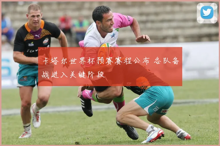 卡塔尔世界杯预赛赛程公布 各队备战进入关键阶段