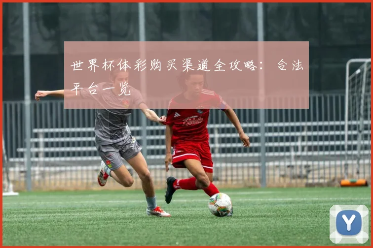 世界杯体彩购买渠道全攻略：合法平台一览