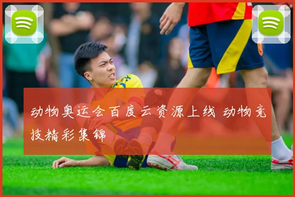 动物奥运会百度云资源上线 动物竞技精彩集锦